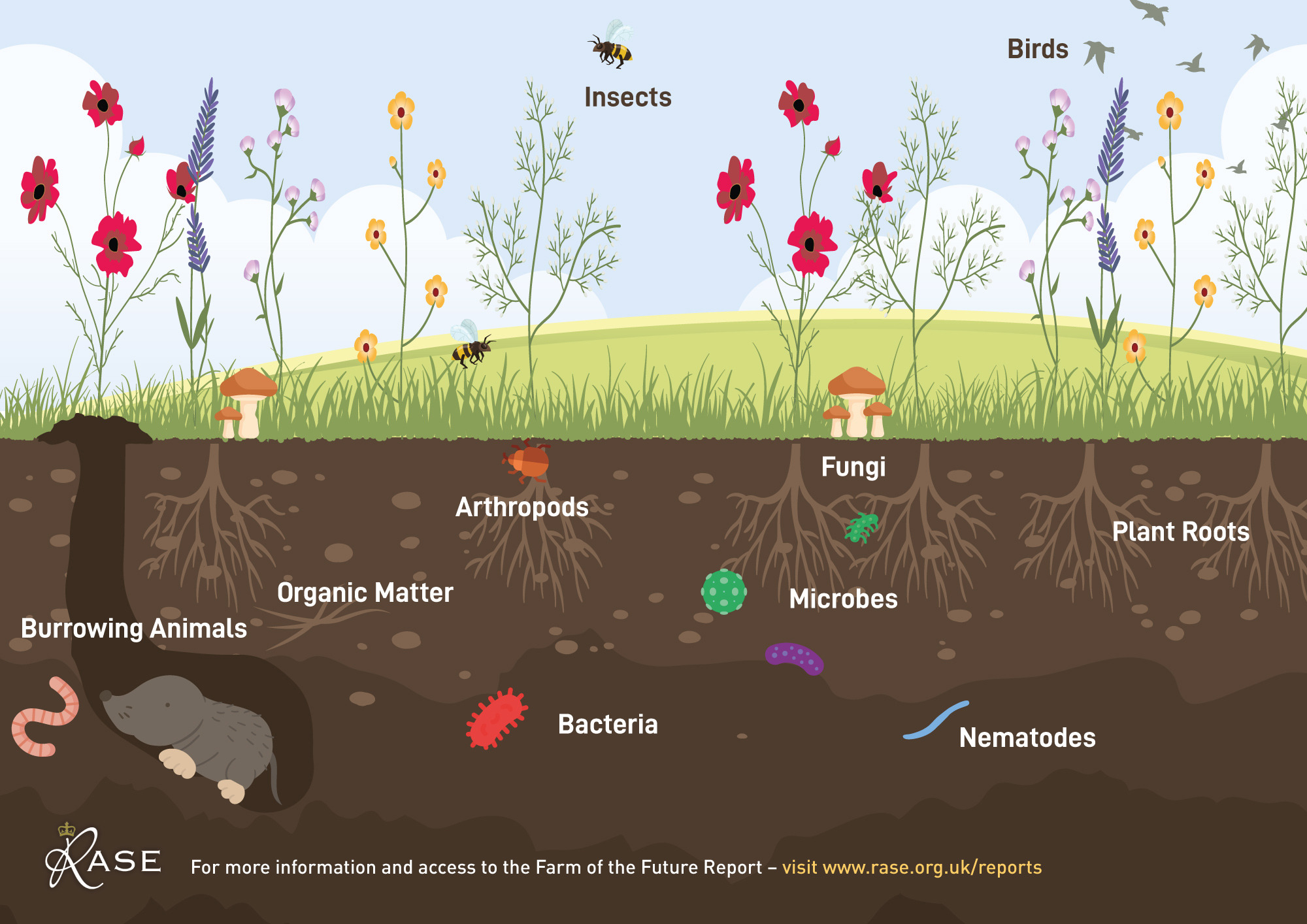 Soil biology and diverse landscapes